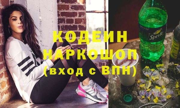 мдпв Инсар