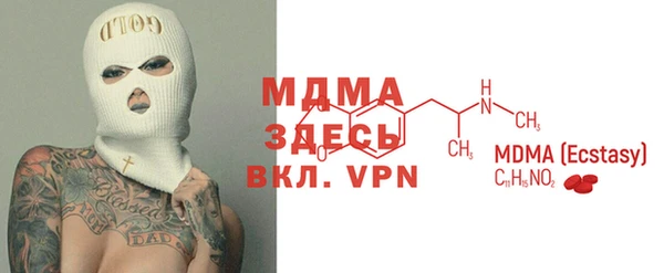 мдпв Инсар