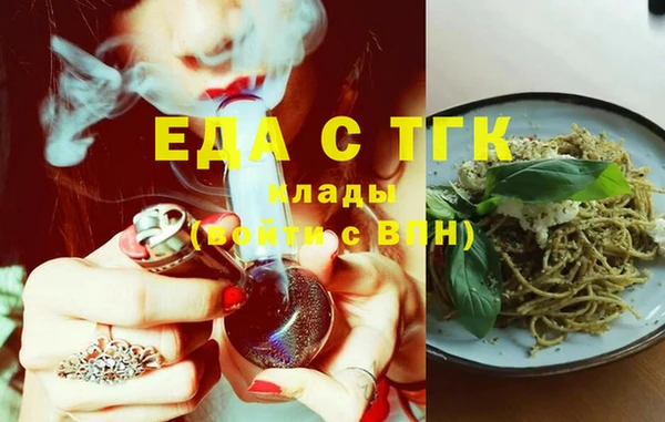 мдпв Инсар