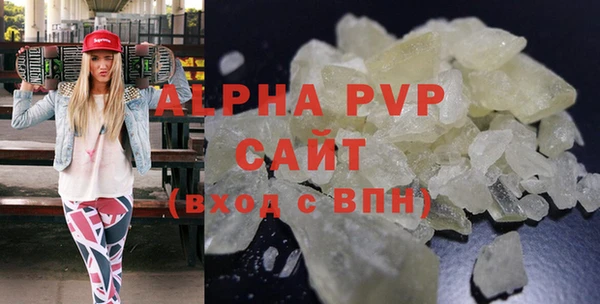 мдпв Инсар